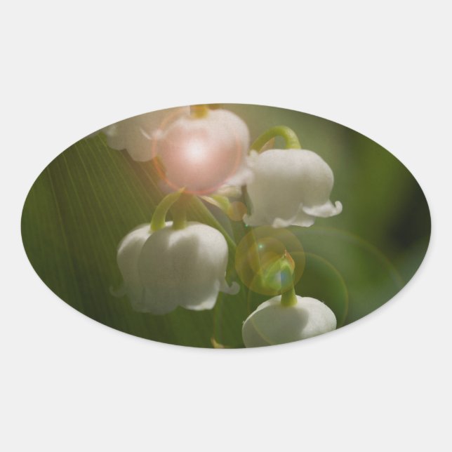 Sticker Ovale Lily De La Vallée Florale (Devant)
