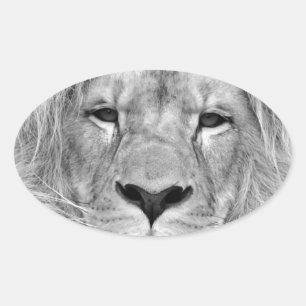 Sticker Ovale Lion noir et blanc