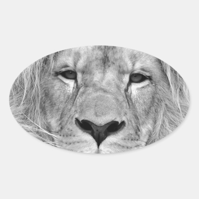 Sticker Ovale Lion noir et blanc (Devant)