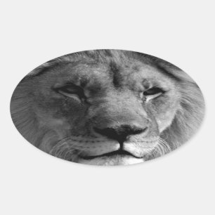 Sticker Ovale Lion noir et blanc