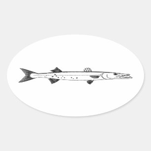Sticker Ovale Logo de grand barracuda