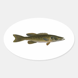 Sticker Ovale Logo de la basse de Smallmouth