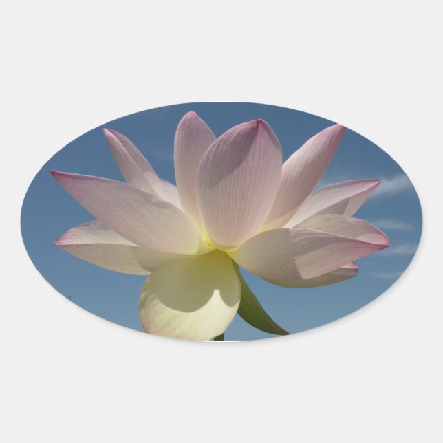 Sticker Ovale Lotus Flower et Blue Sky II (Devant)