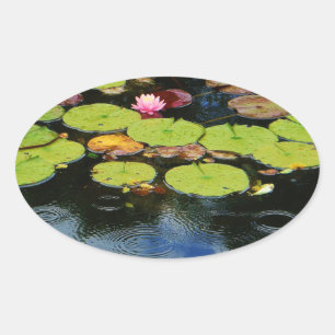 Sticker Ovale Lotus rose en pluie