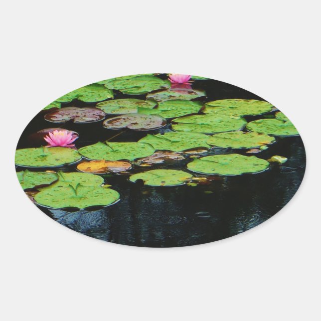 Sticker Ovale lotus rose noir (Devant)