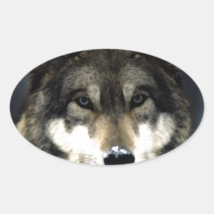Sticker Ovale Loup