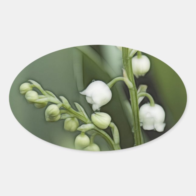 Sticker Ovale Lys des fleurs de la Vallée (Devant)