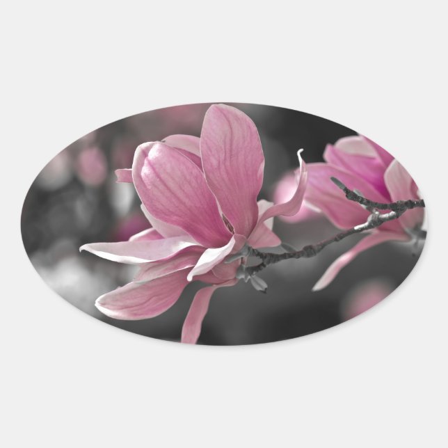 Sticker Ovale Magnolia (Devant)