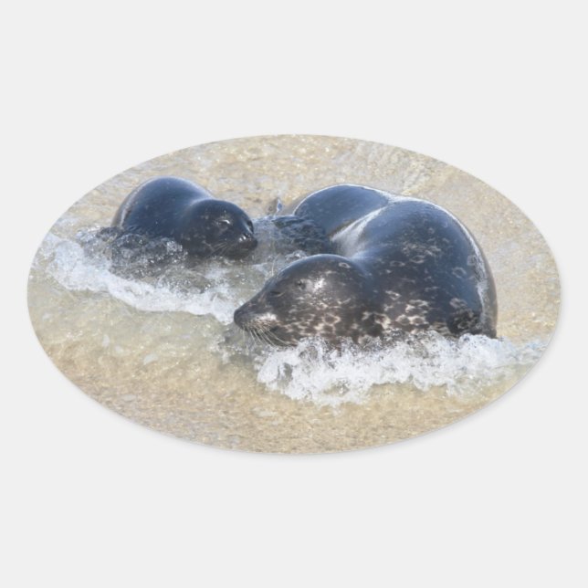 Sticker Ovale Maman et bébé phoque (Devant)