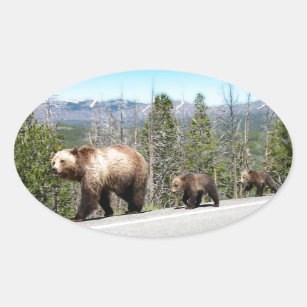 Sticker Ovale Maman et CUB sauvages d'ours gris dans Yellowstone