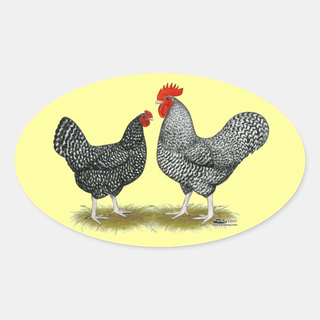 Sticker Ovale Marans : Paire de cacao (Devant)