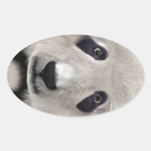 Sticker Ovale Mignon Ours Panda Kawaii Amoureux des Animaux Cade