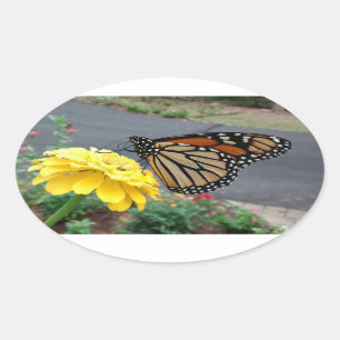 Sticker Ovale Monarque sur la Zinnia jaune