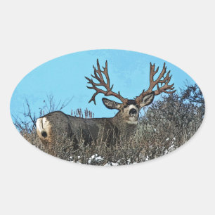 Sticker Ovale Monster mule deer buck