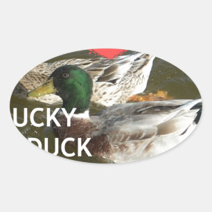 Sticker Ovale Montagnes de canards.