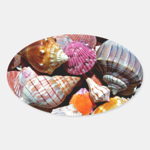 Sticker Ovale Motif Coastal Ocean Sea Shell