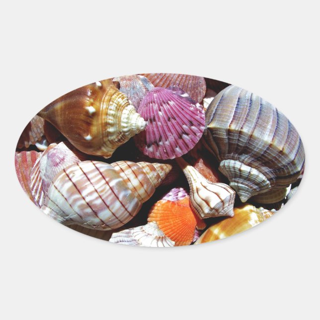 Sticker Ovale Motif Coastal Ocean Sea Shell (Devant)