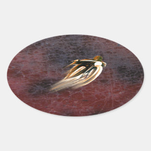 STICKER OVALE MOTO DE EMBALLAGE VINTAGE