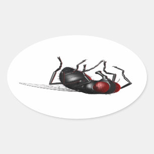 Sticker Ovale Mouche de mort