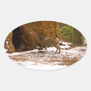 Sticker Ovale Mule Deer