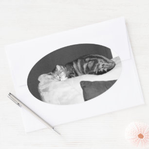 Sticker Ovale Nap Heure Pour Indigo