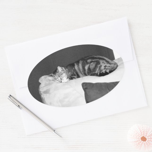 Sticker Ovale Nap Heure Pour Indigo (Enveloppe)