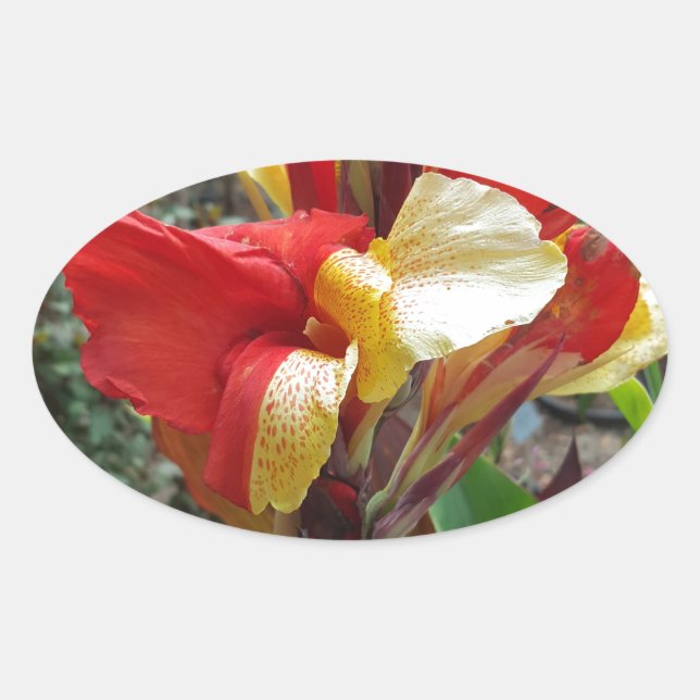 Sticker Ovale Nature Fleur Rouge Photographie Florale (Devant)