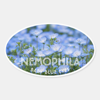 Sticker Ovale NEMOPHILA（Baby Blue Eyes）