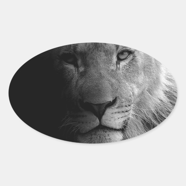 Sticker Ovale Noir Blanc Motivation Leadership Lion Portrait (Devant)