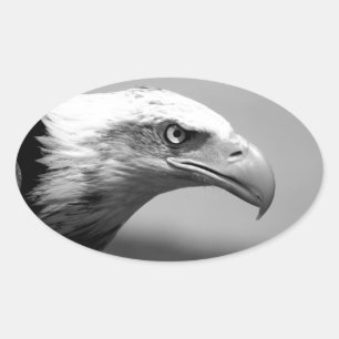 Sticker Ovale Oeil d'aigle noir et blanc