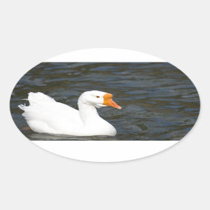 Sticker Ovale Oie chinoise blanche