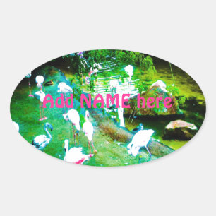 Sticker Ovale Oiseaux de Flamant rose rose personnalisés