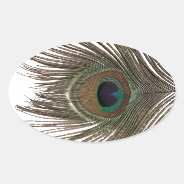 Sticker Ovale Oval de plumes de paon (Devant)