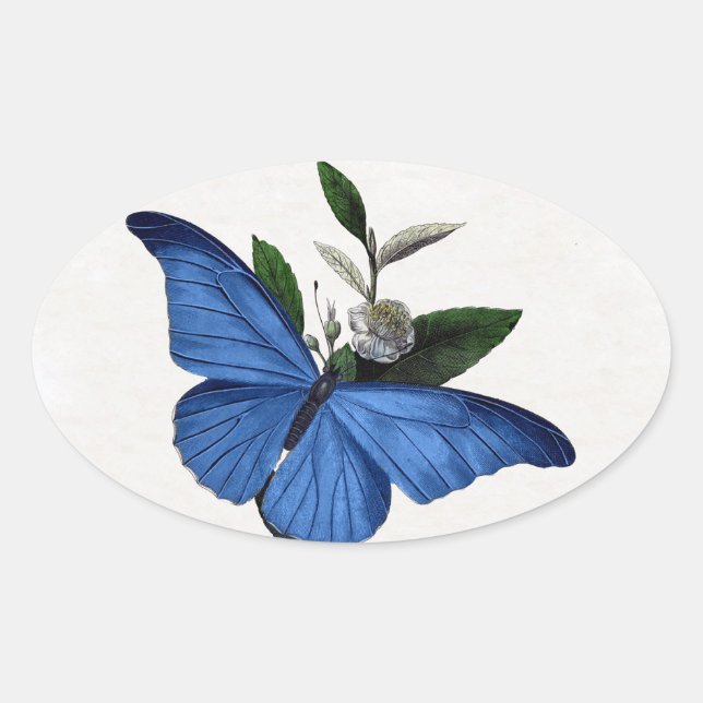 Sticker Ovale Papillon bleu (Devant)