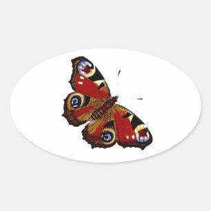 Sticker Ovale Papillon coloré