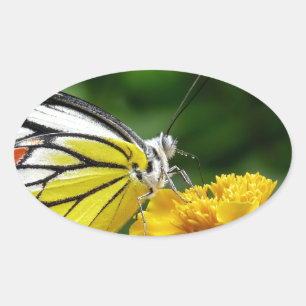 Sticker Ovale Papillon jaune et rouge sur Fleur Jaune