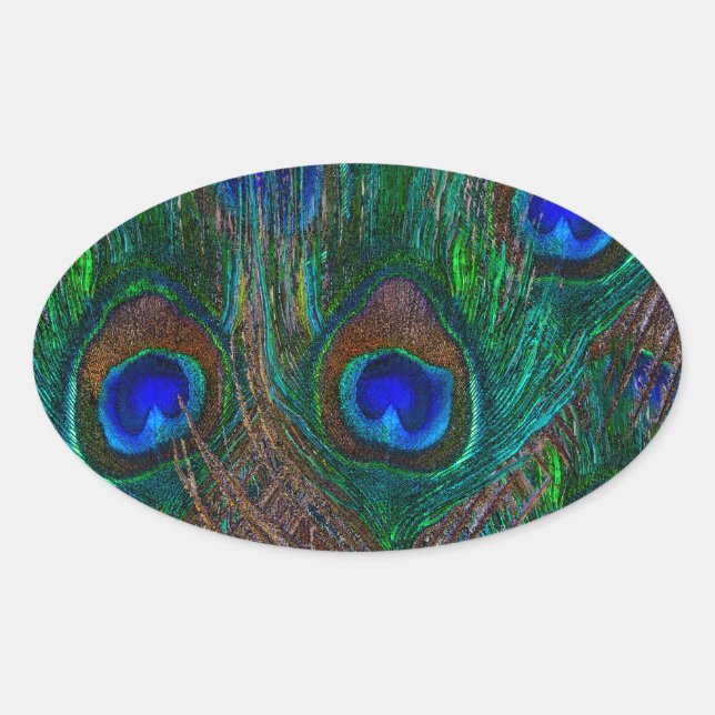 Sticker Ovale Peacock Vibrant Plumes Etching Style Décor (Devant)