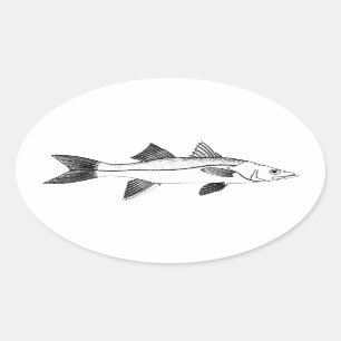 Sticker Ovale Pêche vintage d'eau de mer - Snook
