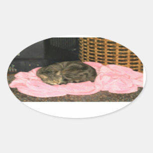 Sticker Ovale Peignoir d'Indigo