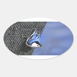 Sticker Ovale Peinture Nuthatch à poitrine blanche Art original