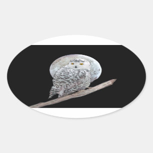 Sticker Ovale Peinture sur la Chouette neigeuse et la Lune - Art