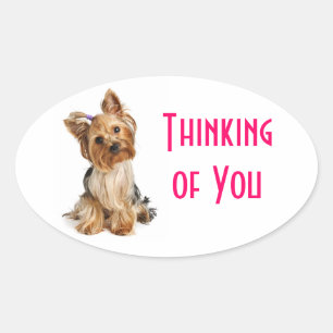 Sticker Ovale Pensées pour toi Teckels Yorkshire Chien Autoco