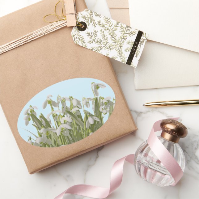 Sticker Ovale Perce-neige (Cadeaux)
