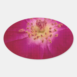 Sticker Ovale Perfection pétale : À damiers Rose Art Motif pétal
