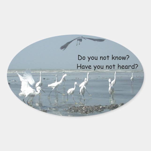 Sticker Ovale Personnaliser (Devant)