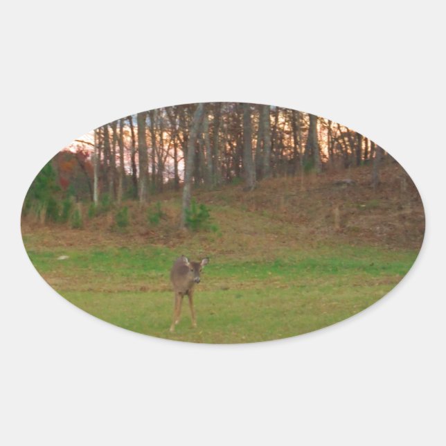 Sticker Ovale Petit cerf et coucher de soleil rose (Devant)