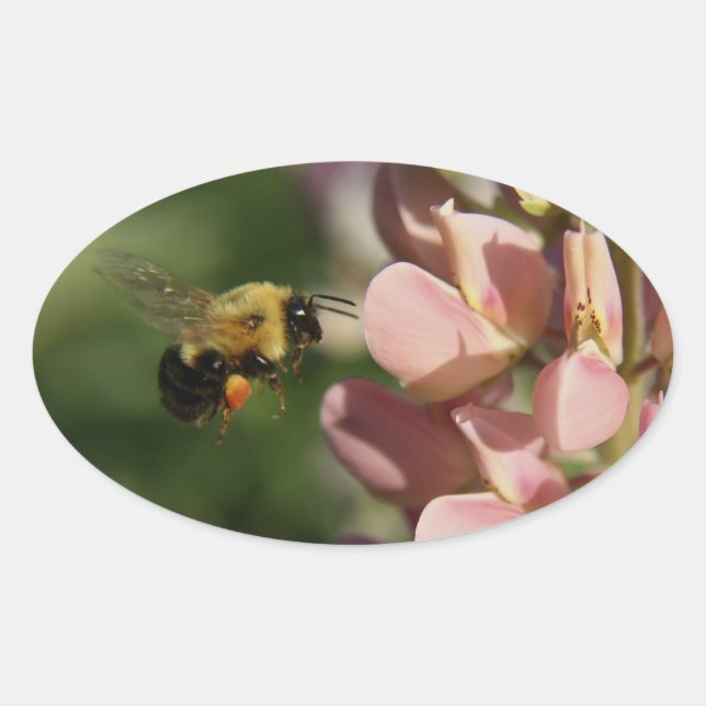Sticker Ovale Photo du jardin (Devant)