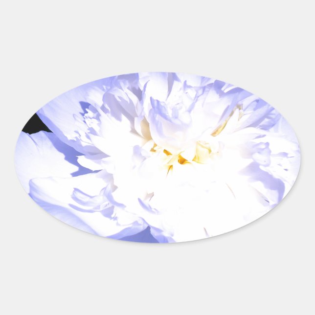 Sticker Ovale Photo Peony blanc et violet (Devant)