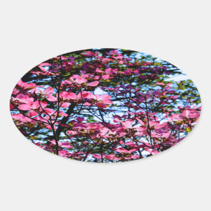 Sticker Ovale Pink flowering Dogwood tree