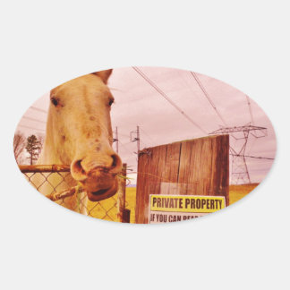 Sticker Ovale Pink Private Property Horse